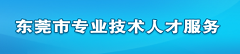 东莞市专业技术人才服务系统